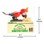 Parrot Coin Bank (Red)