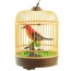 Singing & Chirping Bird In Cage - Realistic Sounds & Movements