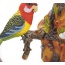 Singing & Chirping Bird Wall Mount