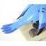 Parrot Coin Bank (Blue)