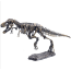 Dinosaur Skeleton Fossil Excavation Kit (T-Rex)