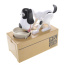 My Dog Piggy Bank - Robotic Coin Munching Toy Money Box (White With Black Spot)