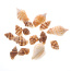 Mixed Beach Sea Shells For Decoration (Bag Of 100 Shells)